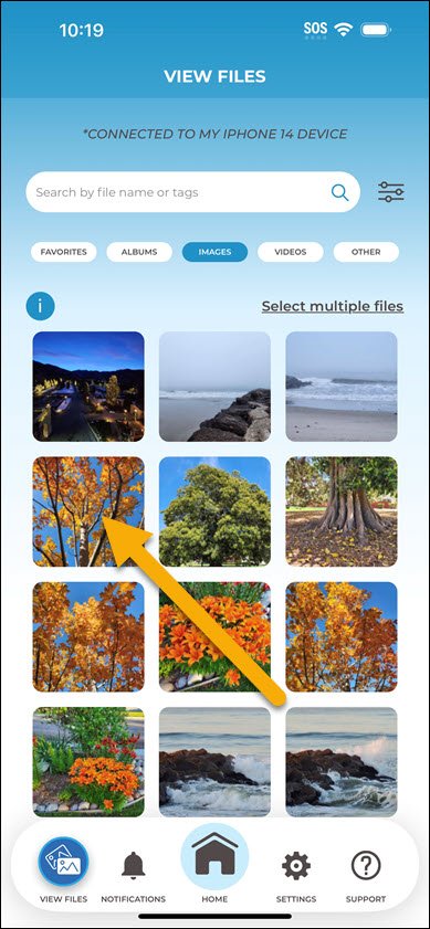 View Files Select Multiple View Files Select Multiple