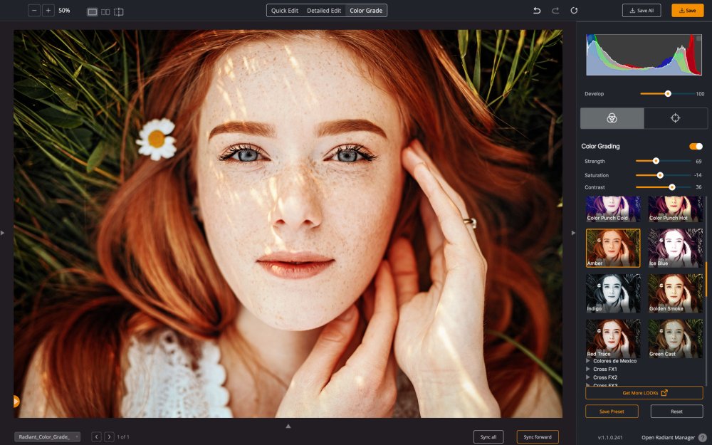 The Color Grade View Radiant Photo 1