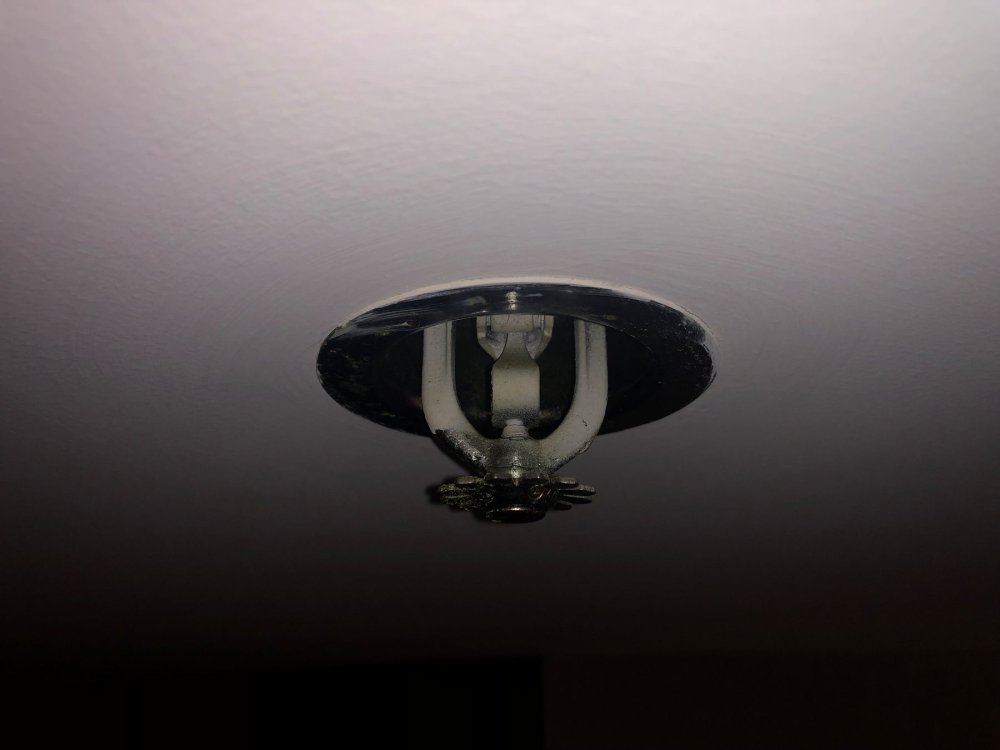 Paint on Sprinklerhead