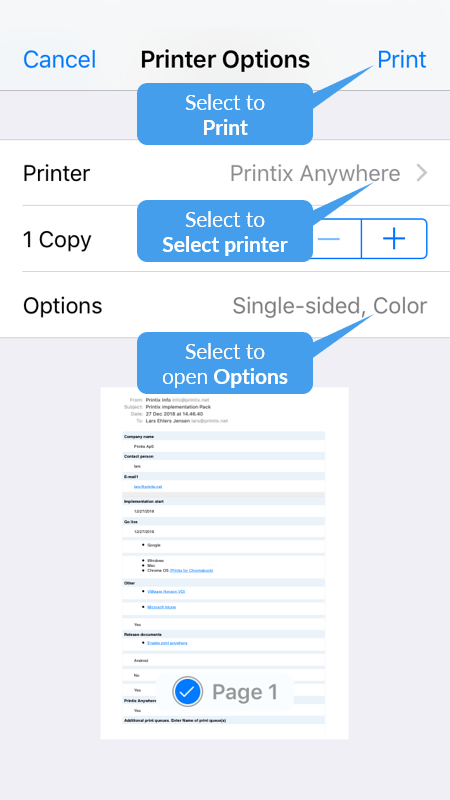 how to print selected text on ipad
