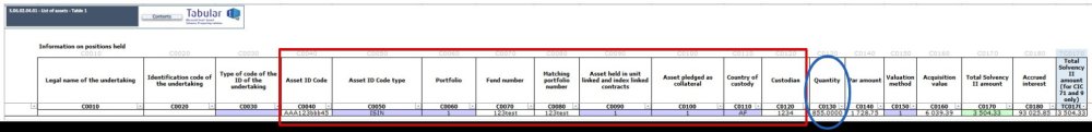Investment QRT Group consolidation - User Guide - Current Version
