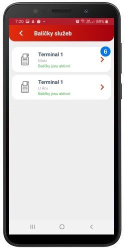 Balíčky služeb - Terminál