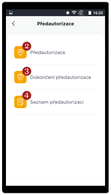 Předautorizace - možnosti