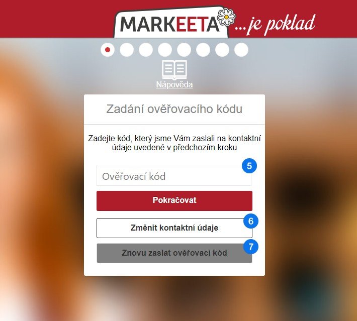 Registrace IT Společnosti v České Republice: Průvodce Krok za Krokem
