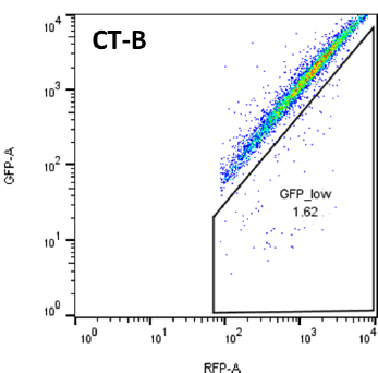 CRISPRuTest FACS analysis, GFP low, CT-B
