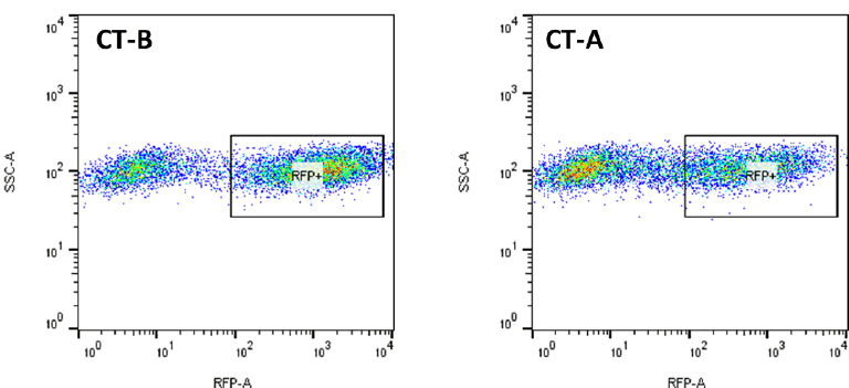 CRISPRuTest FACS analysis, RFP+ gate