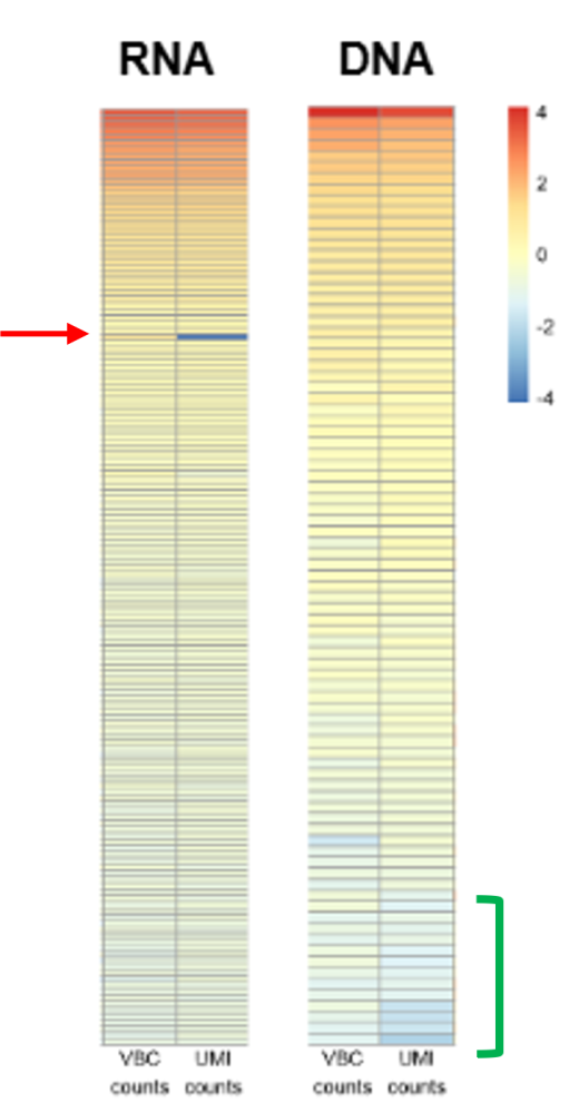 Fig 7. The reproducibility of NGS read count number between VBC and UMI assay. Overall results from VBC and UMI assay are reproducible. (1) VBC assay shows higher detection of low abundant clonotypes (green). (2) VBC assay detects clonotypes missed by UMI assay (red arrow).